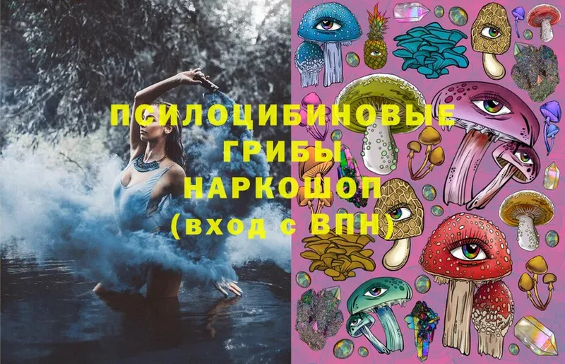 Псилоцибиновые грибы MAGIC MUSHROOMS  Ковылкино 